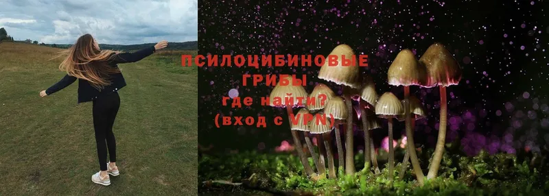 это наркотические препараты  Сызрань  Псилоцибиновые грибы MAGIC MUSHROOMS 